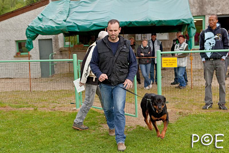 090510_MG_2114.jpg - Education canine