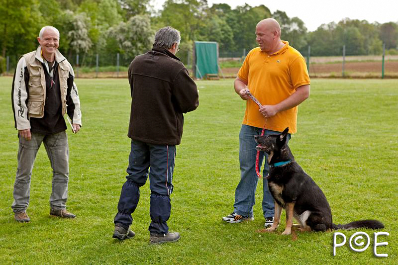 090510_MG_2124.jpg - Education canine