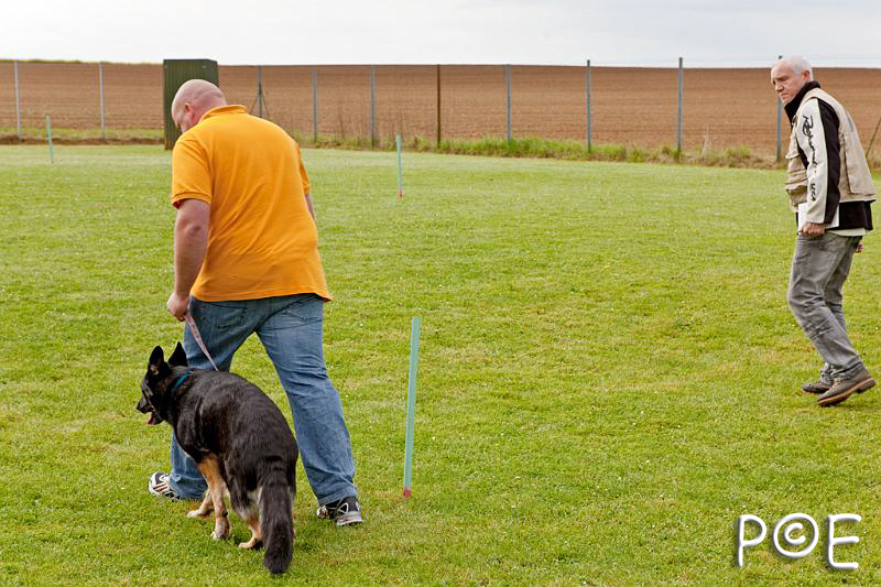 090510_MG_2126.jpg - Education canine