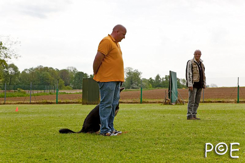 090510_MG_2129.jpg - Education canine