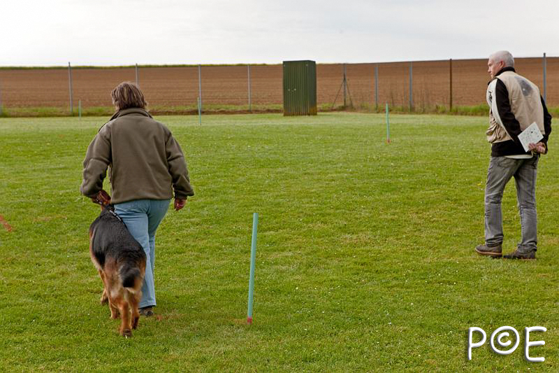 090510_MG_2132.jpg - Education canine