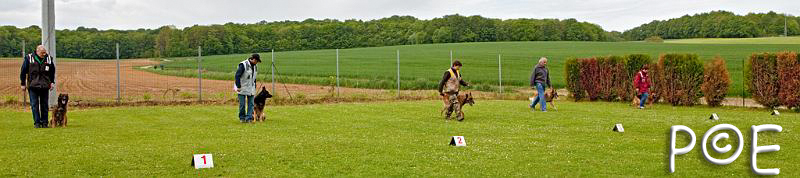 090510_MG_2135.jpg - Education canine
