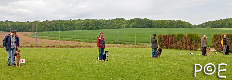 090510_MG_2143.jpg - Education canine