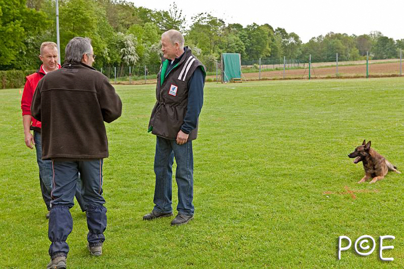 090510_MG_2147.jpg - Education canine