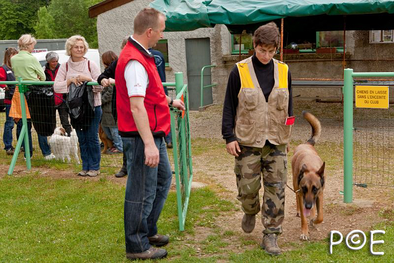 090510_MG_2158.jpg - Education canine