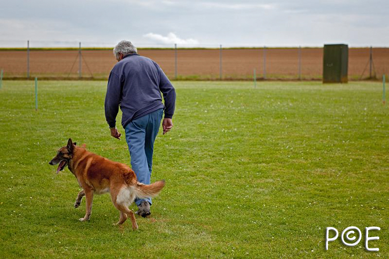 090510_MG_2176.jpg - Education canine