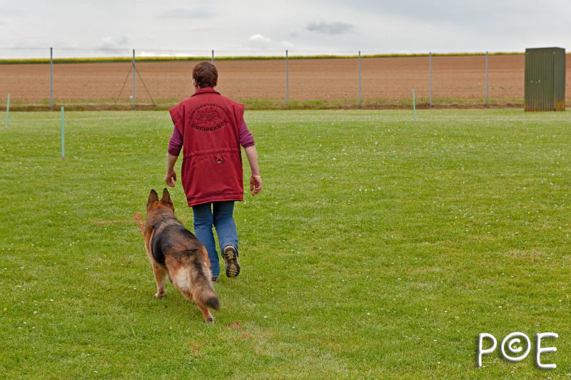 090510_MG_2182.jpg - Education canine