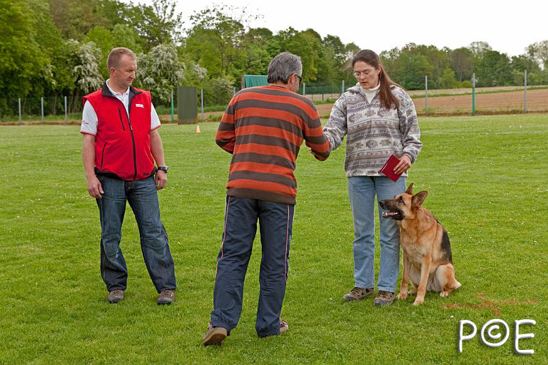 090510_MG_2186.jpg - Education canine