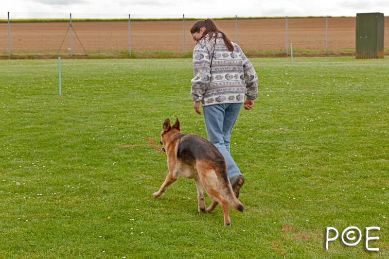 090510_MG_2189.jpg - Education canine