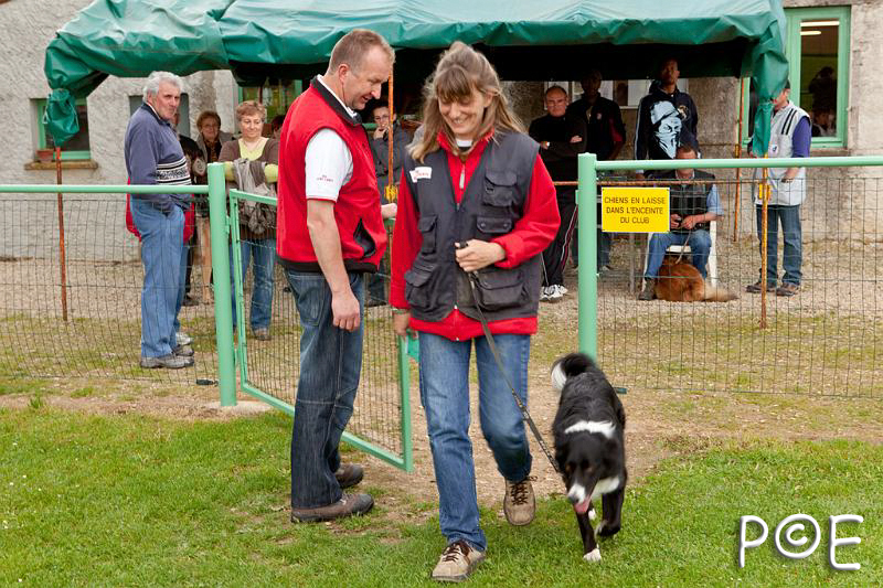 090510_MG_2191.jpg - Education canine