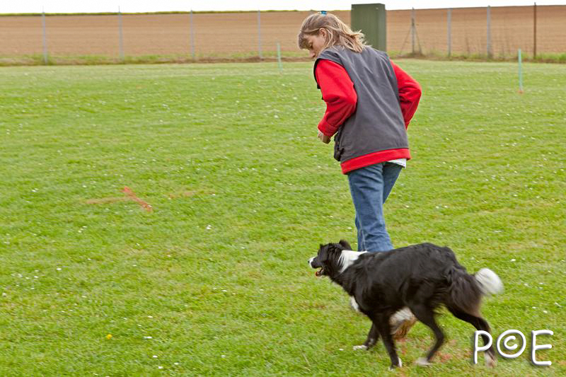 090510_MG_2196.jpg - Education canine