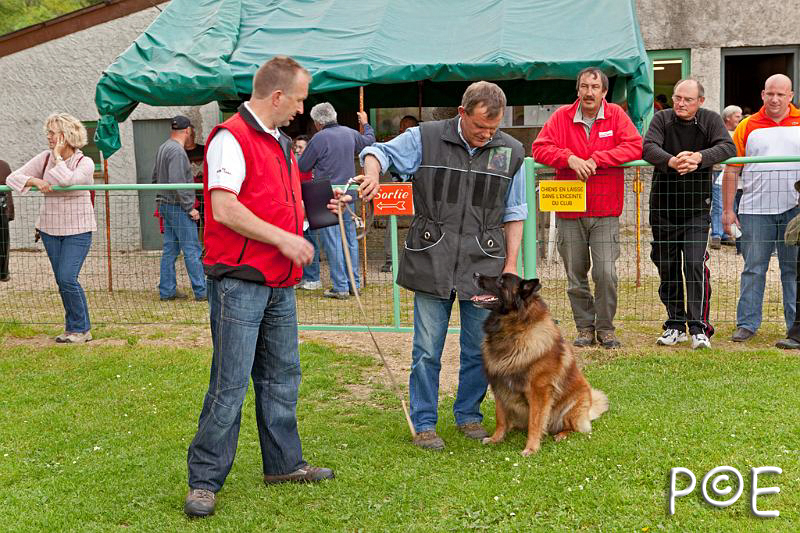 090510_MG_2197.jpg - Education canine