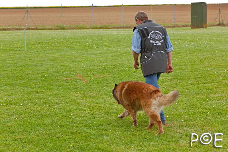090510_MG_2203.jpg - Education canine