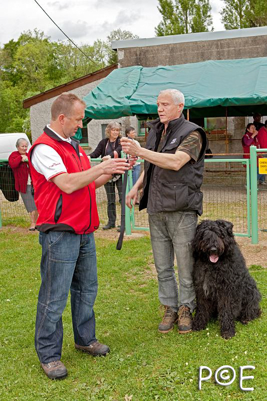 090510_MG_2210.jpg - Education canine