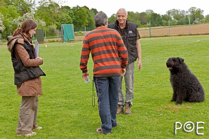 090510_MG_2212.jpg - Education canine