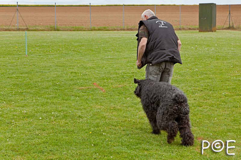 090510_MG_2215.jpg - Education canine