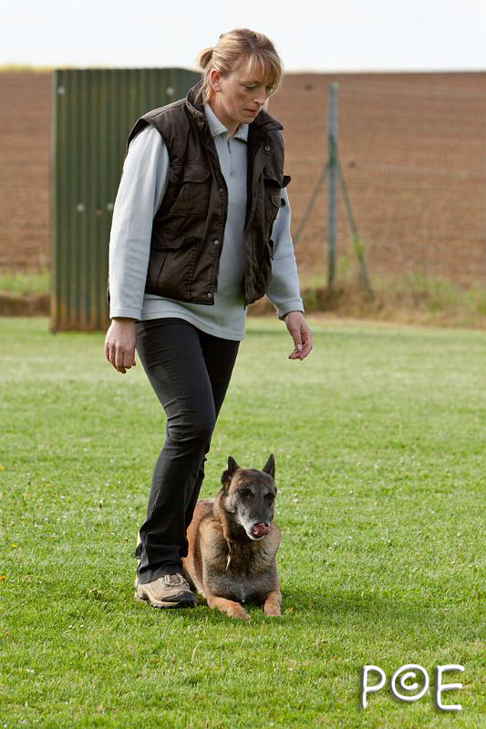 090510_MG_5795.jpg - Education canine