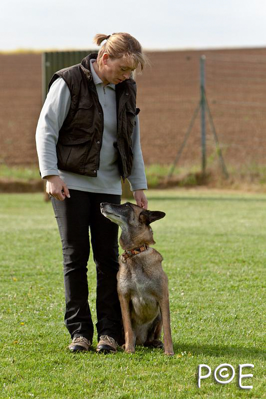 090510_MG_5799.jpg - Education canine