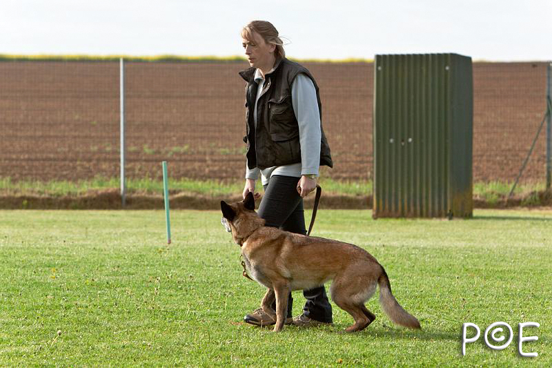 090510_MG_5801.jpg - Education canine