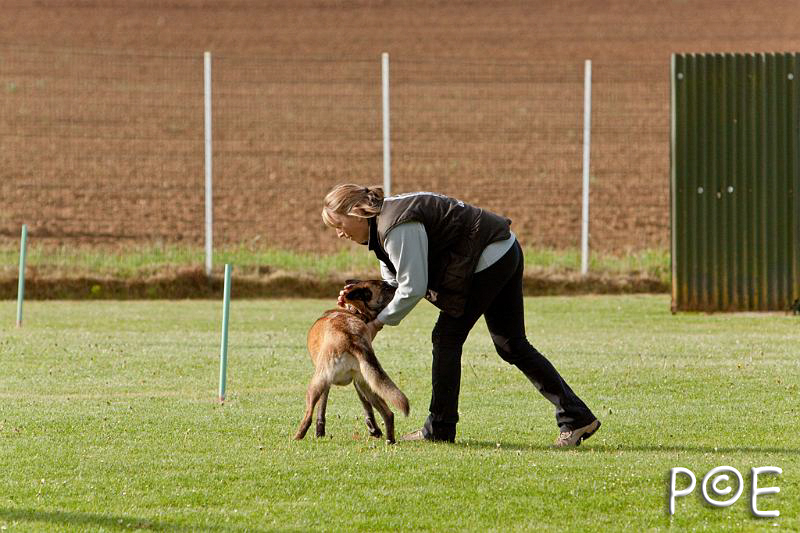 090510_MG_5807.jpg - Education canine