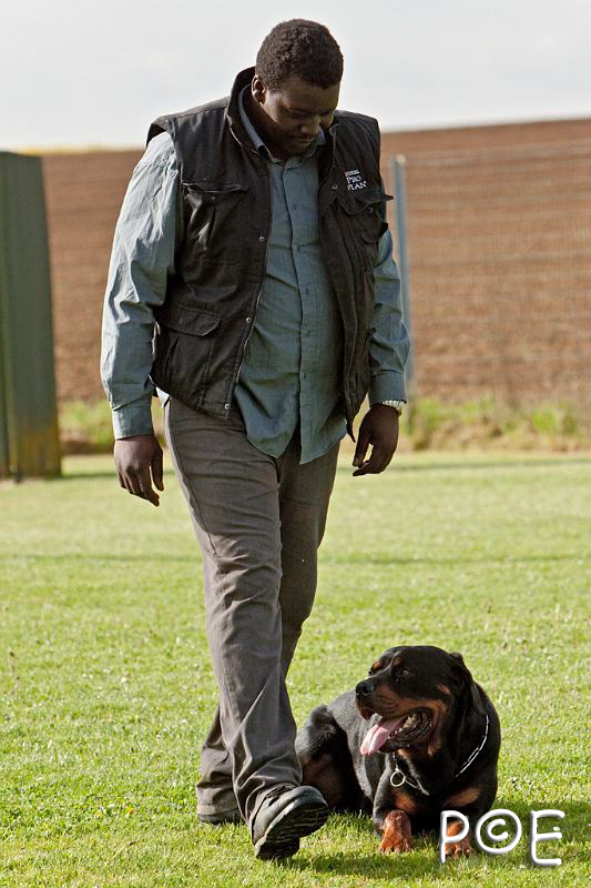 090510_MG_5832.jpg - Education canine