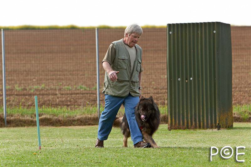 090510_MG_5874.jpg - Education canine
