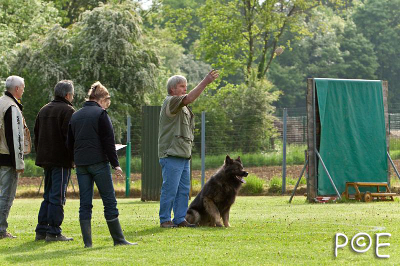 090510_MG_5887.jpg - Education canine