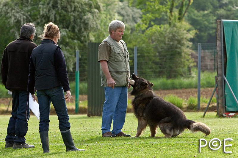 090510_MG_5894.jpg - Education canine