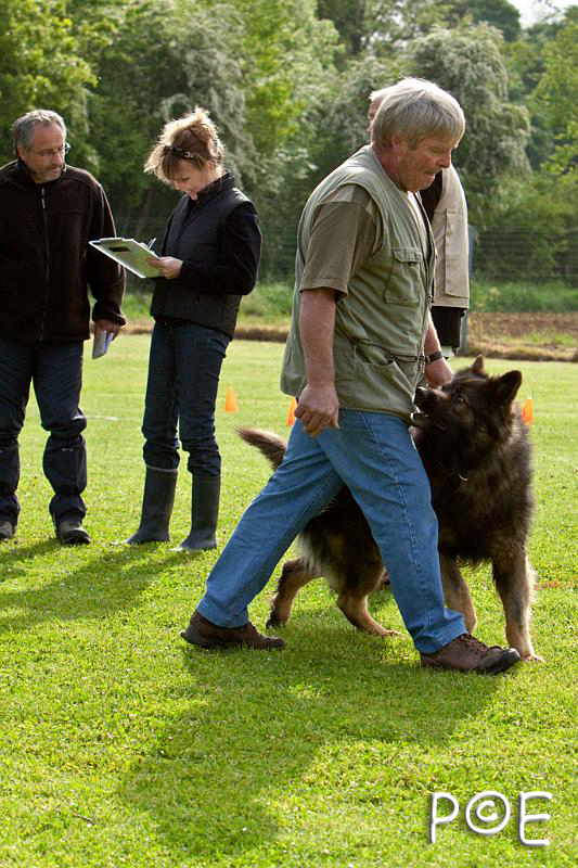 090510_MG_5910.jpg - Education canine