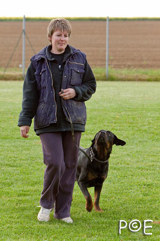 090510_MG_5919.jpg - Education canine
