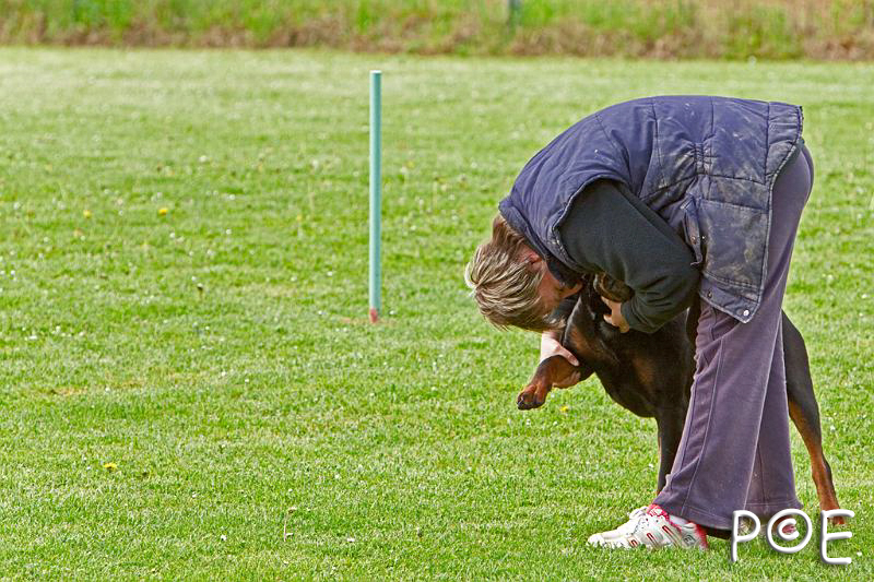 090510_MG_5927.jpg - Education canine