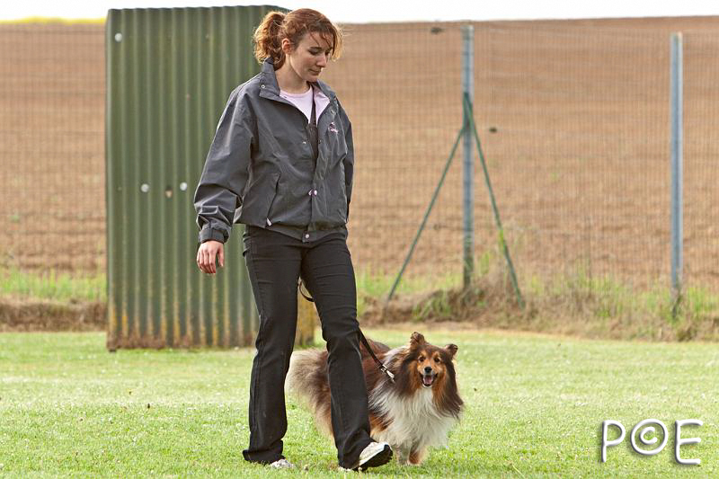 090510_MG_5968.jpg - Education canine