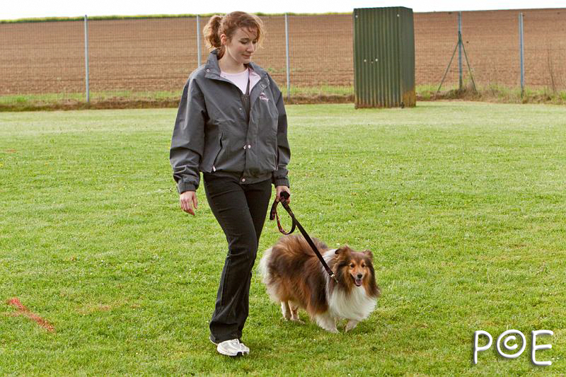 090510_MG_5969.jpg - Education canine