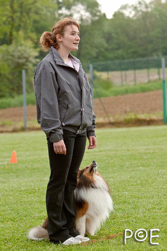 090510_MG_5980.jpg - Education canine