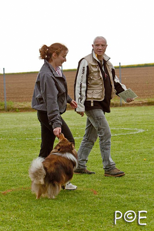 090510_MG_5982.jpg - Education canine