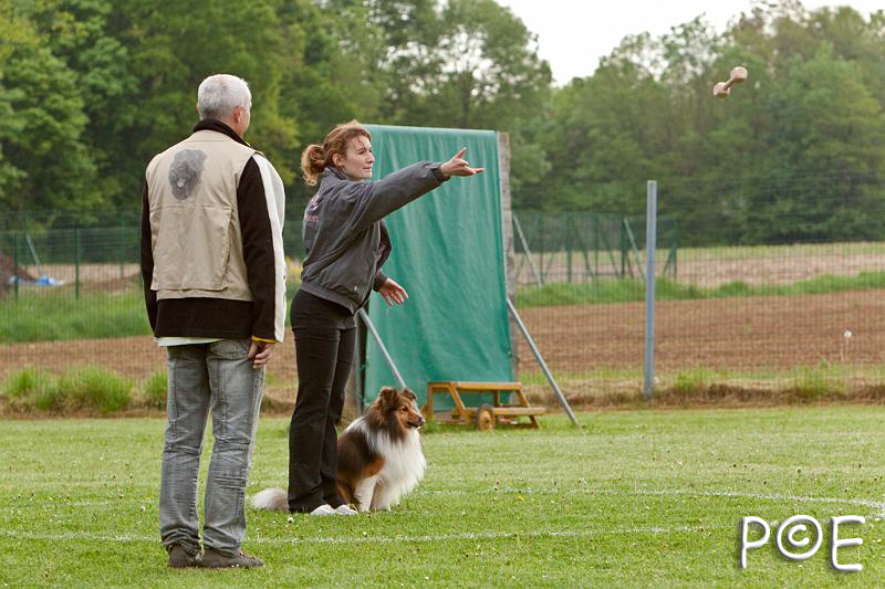 090510_MG_5991.jpg - Education canine