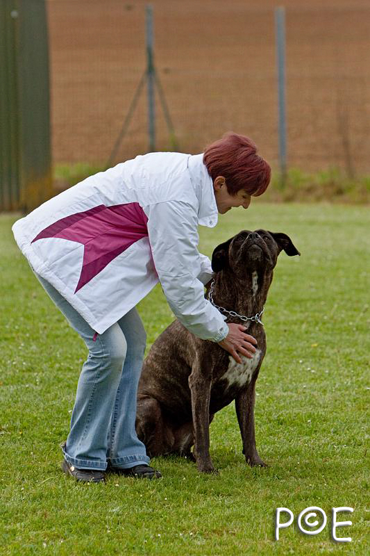 090510_MG_6028.jpg - Education canine