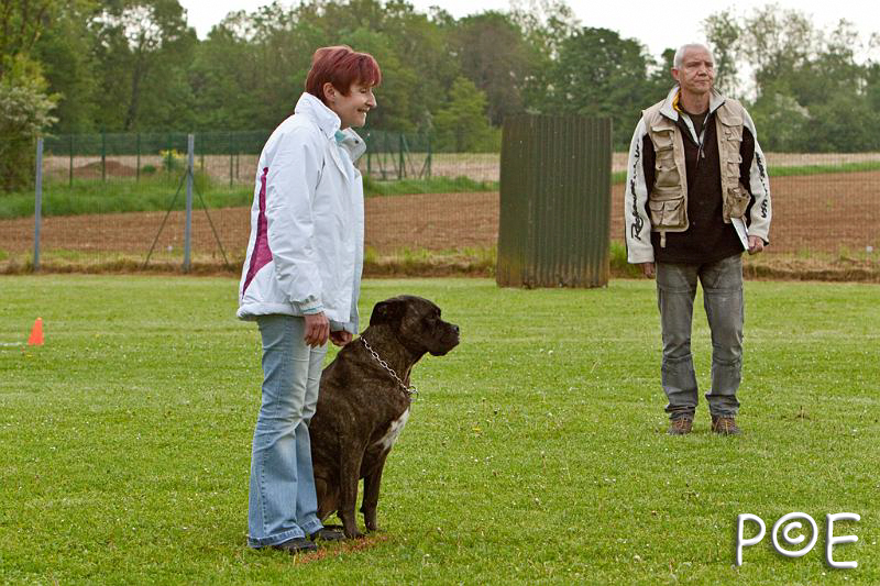 090510_MG_6041.jpg - Education canine