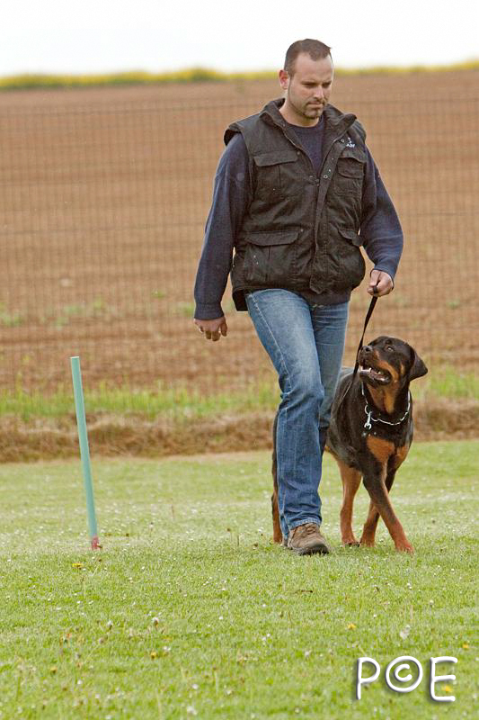 090510_MG_6056.jpg - Education canine