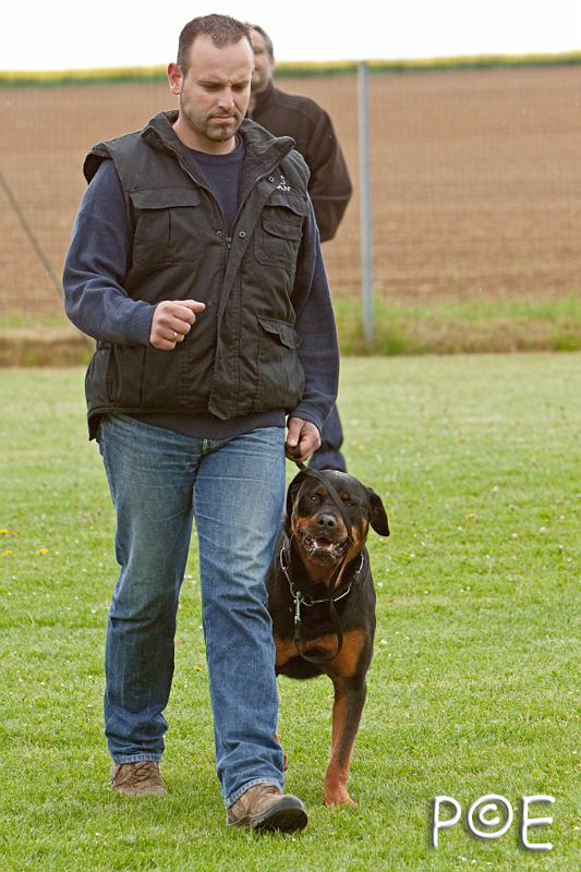 090510_MG_6058.jpg - Education canine