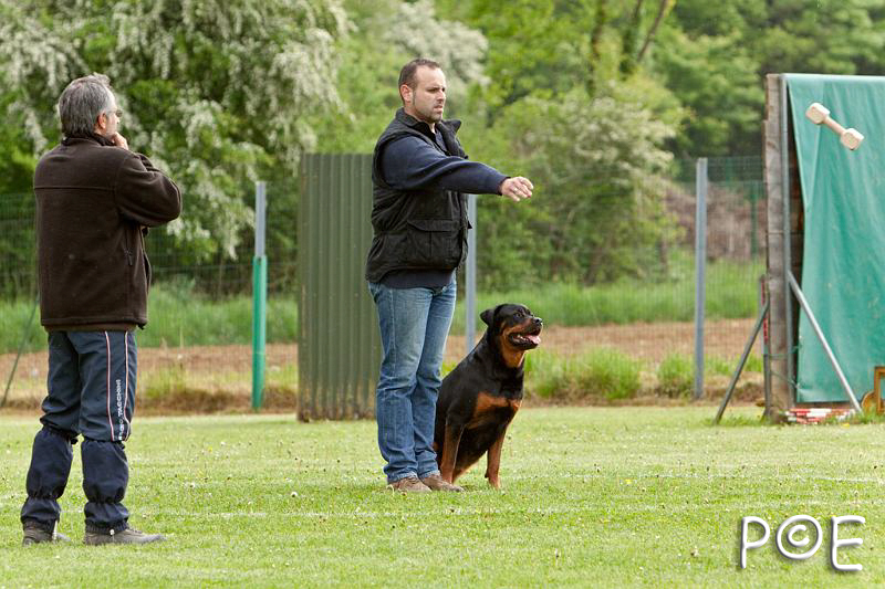 090510_MG_6073.jpg - Education canine