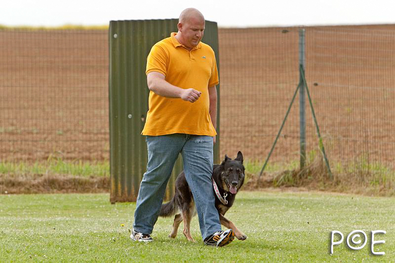 090510_MG_6098.jpg - Education canine