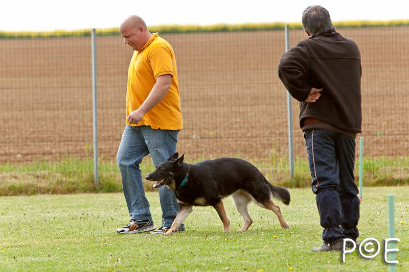 090510_MG_6102.jpg - Education canine