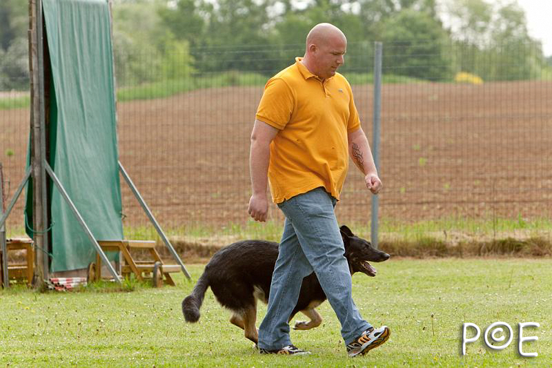 090510_MG_6110.jpg - Education canine