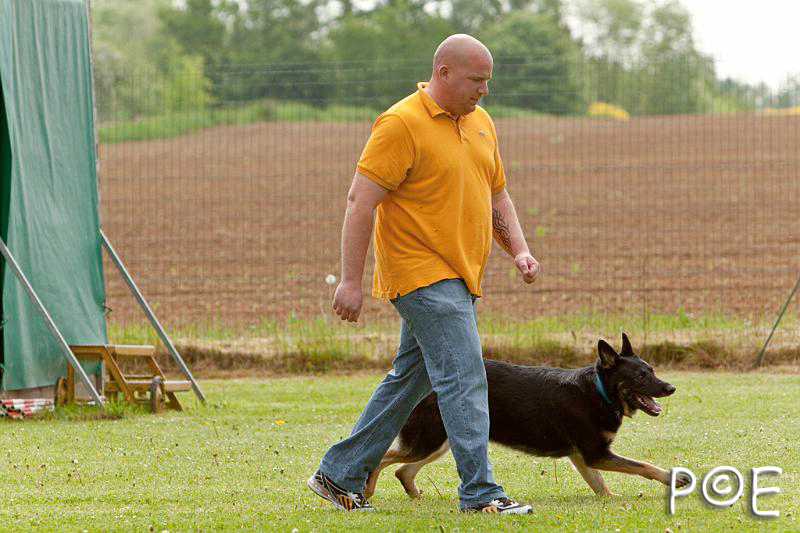 090510_MG_6111.jpg - Education canine