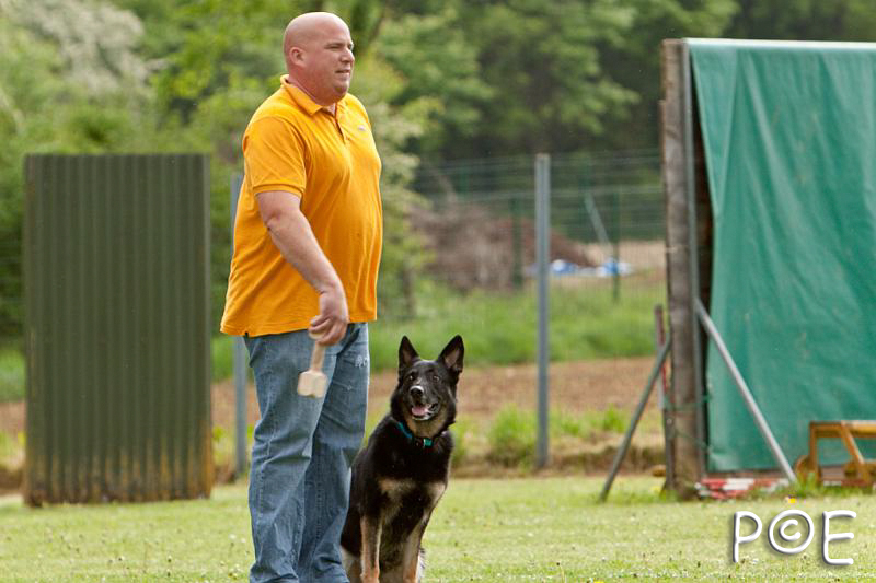 090510_MG_6112.jpg - Education canine