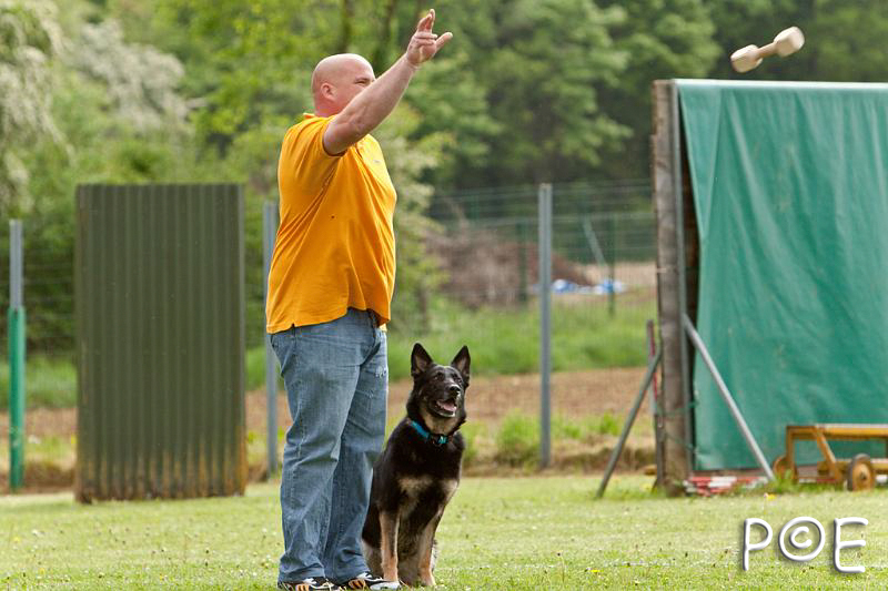 090510_MG_6113.jpg - Education canine
