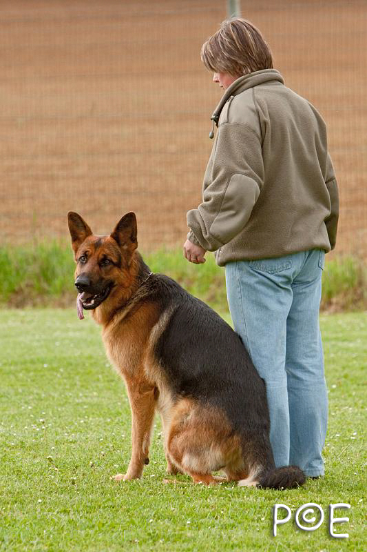 090510_MG_6141.jpg - Education canine