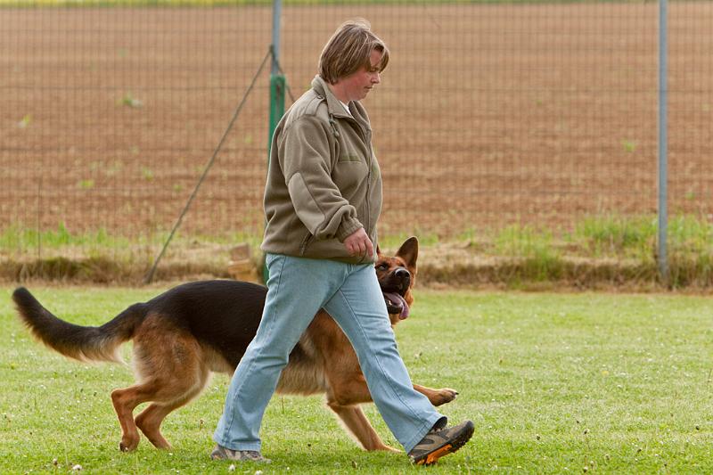 090510_MG_6153.jpg - Education canine