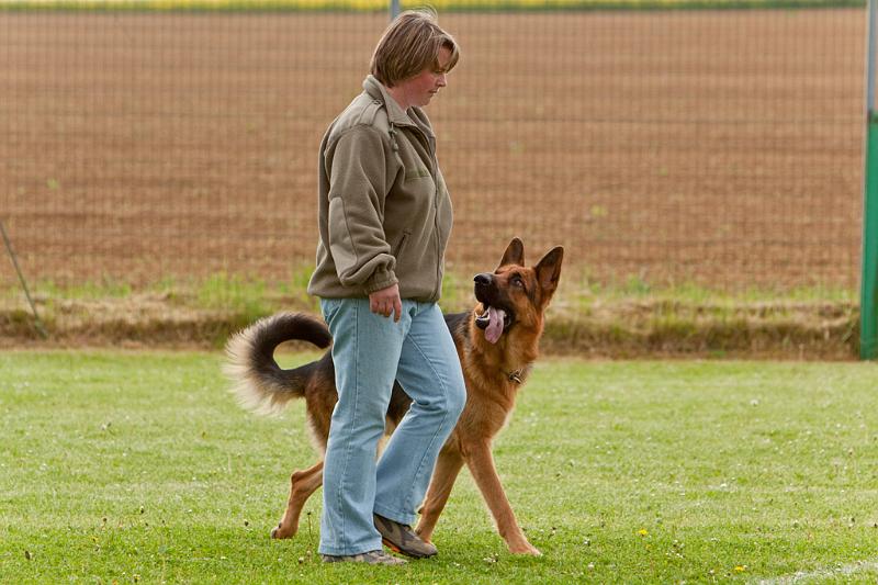090510_MG_6154.jpg - Education canine